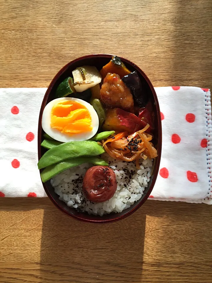 Snapdishの料理写真:本日のお弁当|ボンジュール！さん