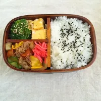 牛丼弁当〜|なみりんさん