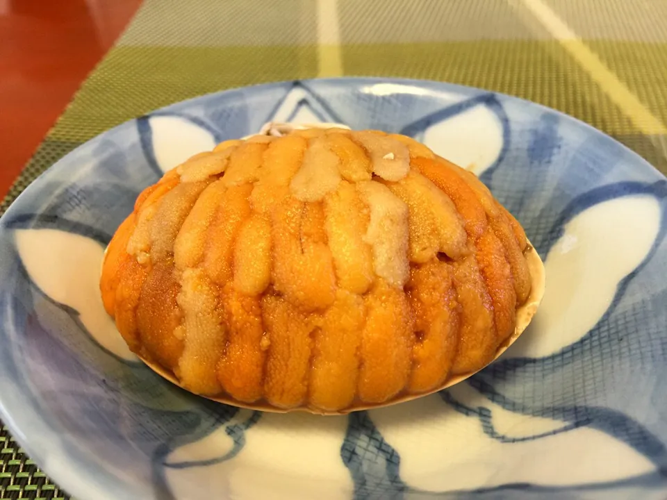 |Yoshito  Kobayashiさん