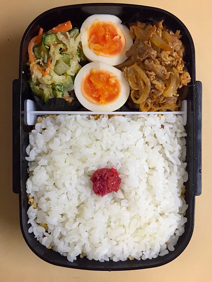 Snapdishの料理写真:お弁当／男子高校生|nayutaさん