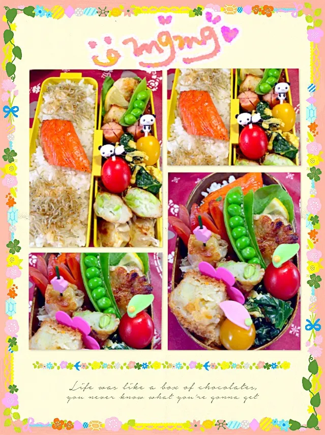 愛妻弁当🍱息子弁当|Bigmamaさん