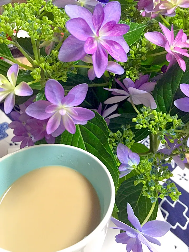 Snapdishの料理写真:可愛い紫陽花にcafé au laitでカンパーイ❤️|さくたえさん