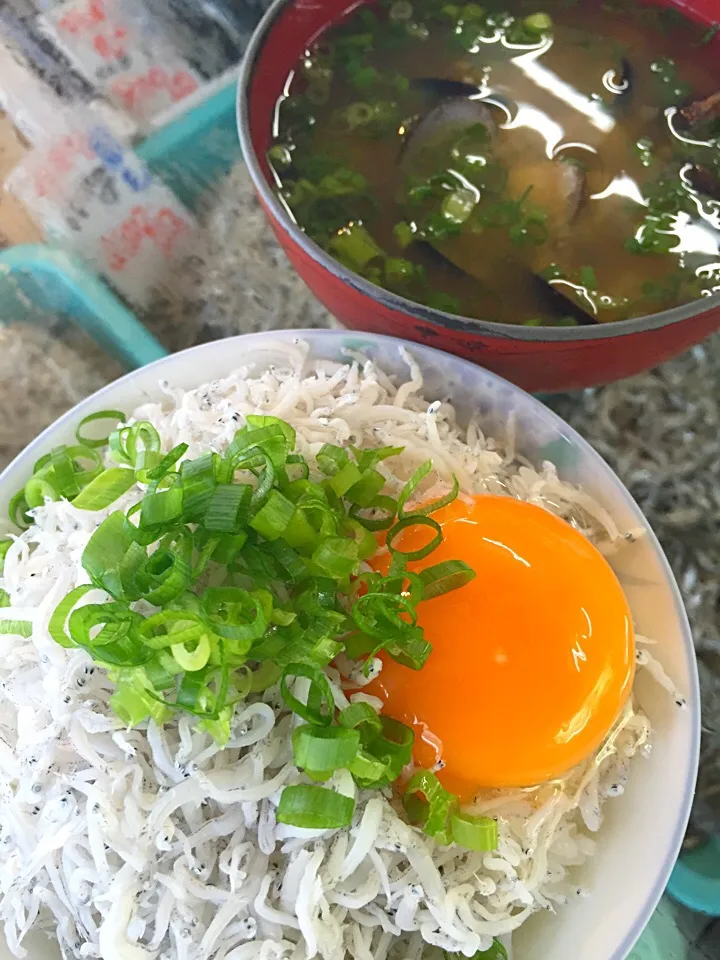 Snapdishの料理写真:朝ごはん しらす丼と蜆のお味噌汁|tomomiさん