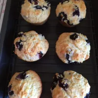 Blueberries muffins|Alice Leeさん