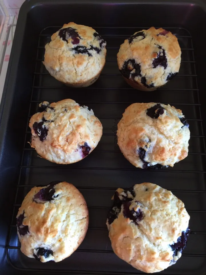 Blueberries muffins|Alice Leeさん