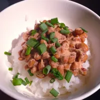 Snapdishの料理写真:納豆ご飯 「Fermented soybeans on rice」|IV Excelsisさん