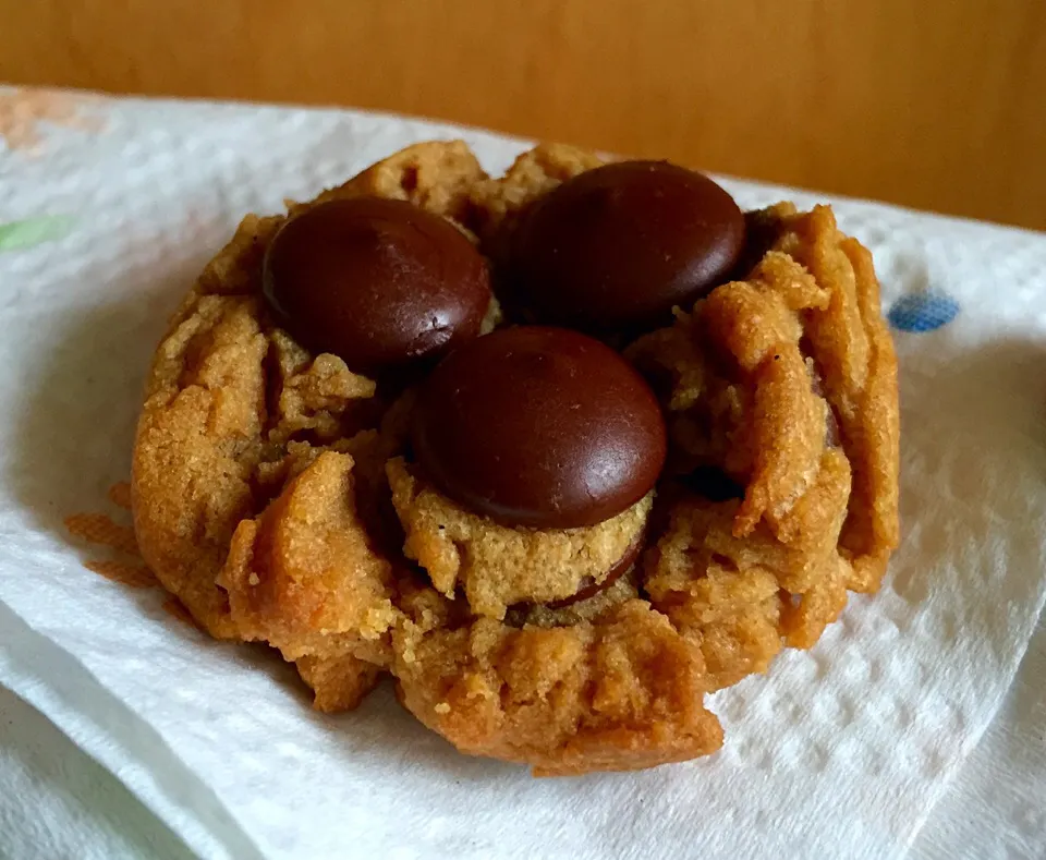 Gluten free peanut butter chocolate treats.|Dean M Rogersさん