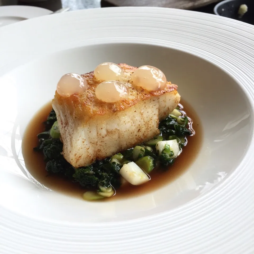 Baked Hake with spring greens, octopus broth and bergamot gel|Jaronさん