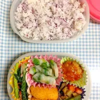 Snapdishの料理写真:6/28のお弁当|にったんさん