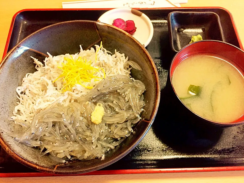 生しらす丼|くぽさん