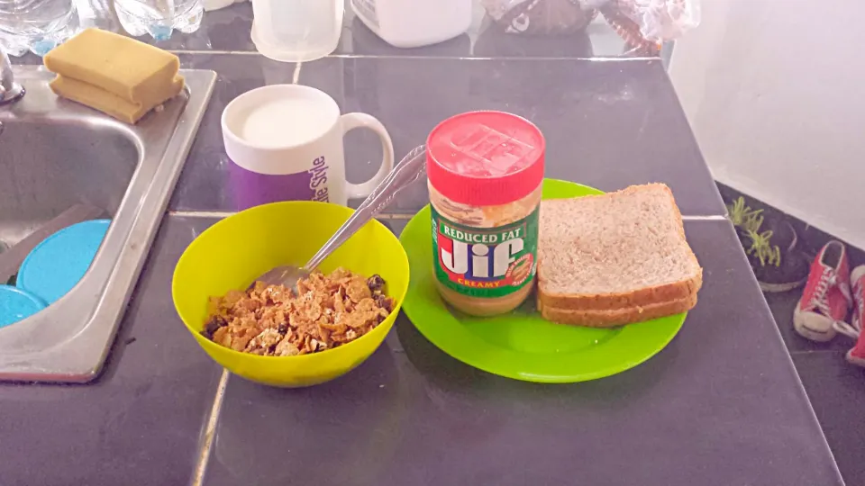 Fiber Whole Grain Cereal + Peanut Butter Sandwich + Plain Yogurt|Ralph Nivarさん