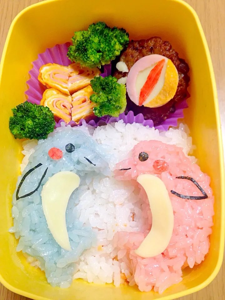 イルカ弁当|エミさん