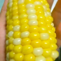 Snapdishの料理写真:水果玉米🌽|tomopaさん