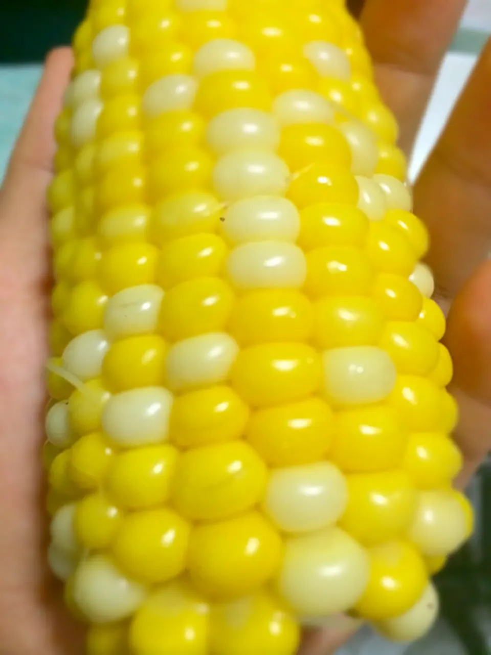 水果玉米🌽|tomopaさん