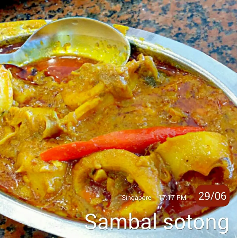 Indian Food - Sambal Sotong|Chua Jeanさん