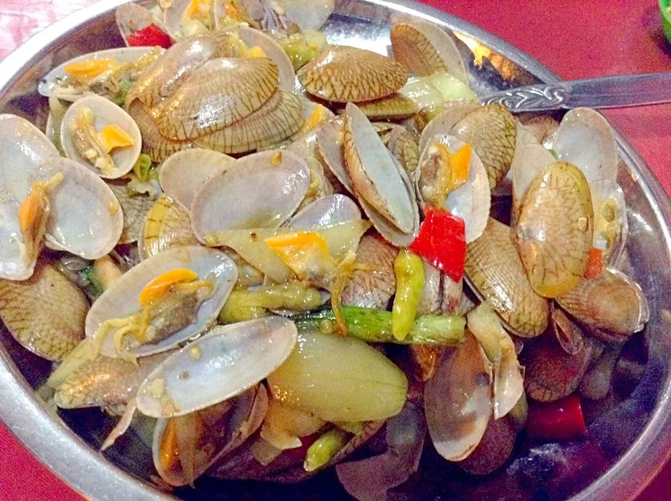 Kerang Lombok|Bambang Budiono Tjioさん