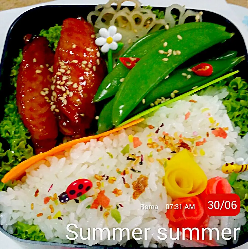 Summer summer bento|Chua Jeanさん