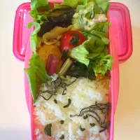 Snapdishの料理写真:超特急弁当|ゆうさん