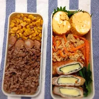 Snapdishの料理写真:7月1日お弁当|ぽっぷくまるこさん