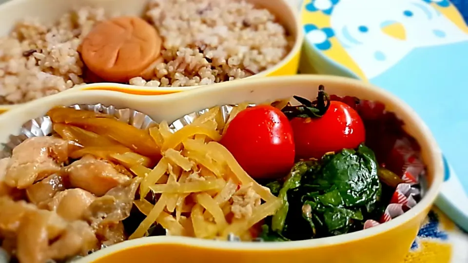 Snapdishの料理写真:今日のお弁当⭐|かおりんさん