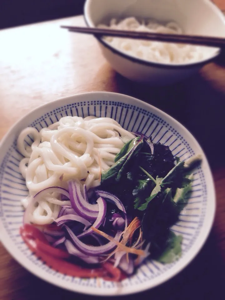 Snapdishの料理写真:おうどんのsalaD|Imanaka Yukikoさん