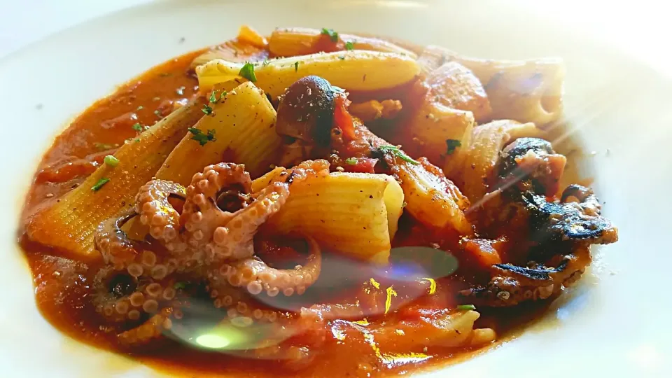 Today's lunch at Eleven elelven restaurant, pasta with spicy red suace and baby octopus.|Jihollandさん