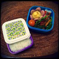 きょうのお弁当