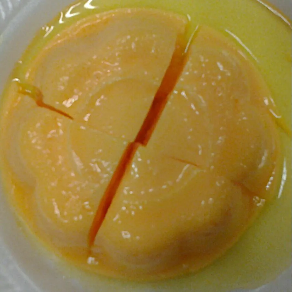 Mango Pudding|FooDin'sさん