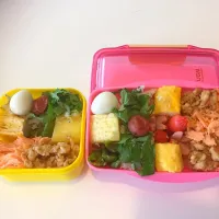 三食弁当|ゆうさん