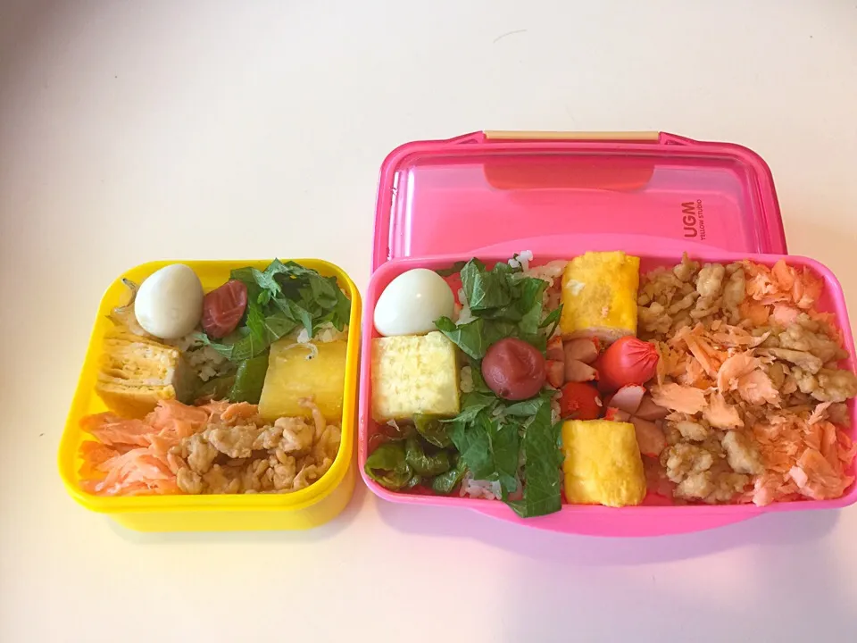 三食弁当|ゆうさん