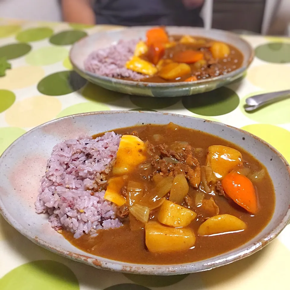 なんしか普通のビーフカレーが食べたかってんʕ•̫͡•ʕ•̫͡•ʔ•̫͡•ʔ|うさ爺さん