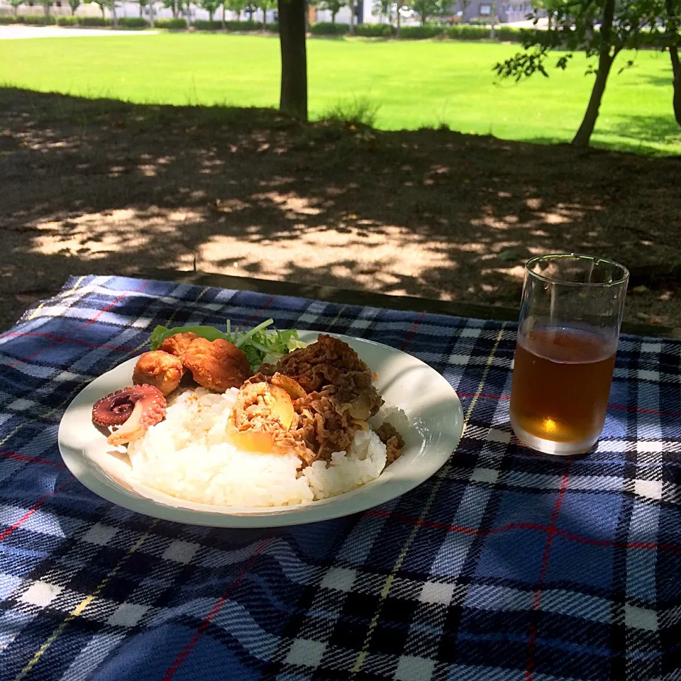 ピクニック・ランチ♬ (▰˘◡˘▰)☝︎|Yoshinobu Nakagawaさん