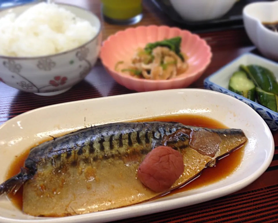 営業マンの昼ごはん 鯖の梅煮|ぽんたさん