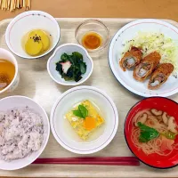 Snapdishの料理写真:管理栄養士の卵が考案♡夏の元気定食|さやかさん