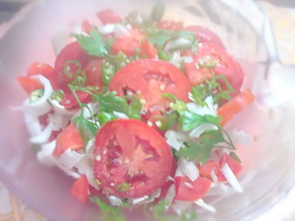 Veggie Salad with a teaspoon of lemon for taste!|Jay Kingさん