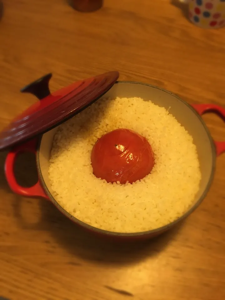 Boiled rice with Tomato :D|Mayumi Sakurabaさん