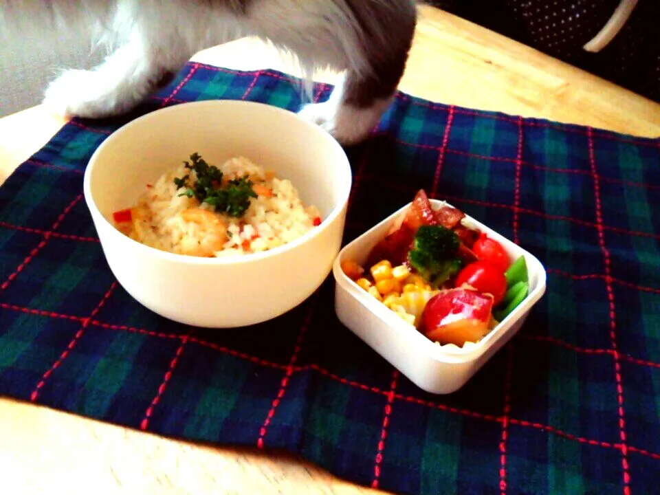 エビピラフ弁当。猫足付き。

 #お弁当 #エビピラフ|Cat Miroさん