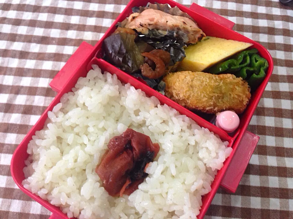 Snapdishの料理写真:7月6日 普通のお弁当|sakuramochiさん