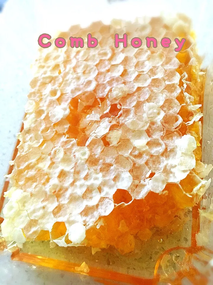 Snapdishの料理写真:Comb Honey|erisさん