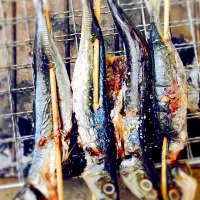 Grilled Mackarel scad|toMaotoさん