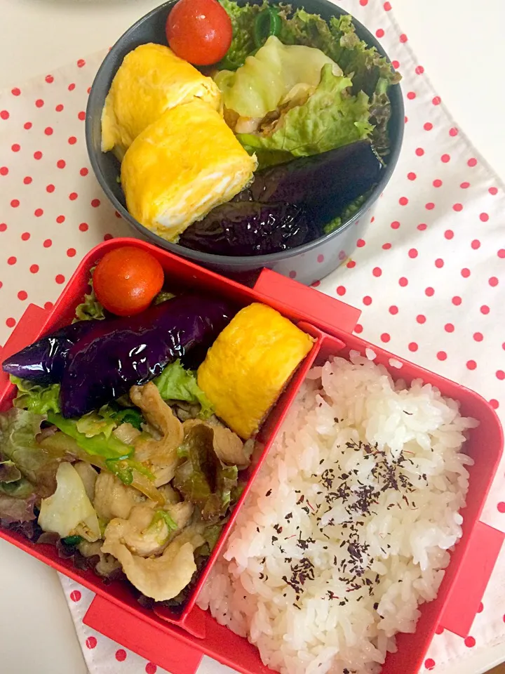 今日の弁当✽(′ॢᵕ ‵ *ॢ)✽|まりぞぅさん