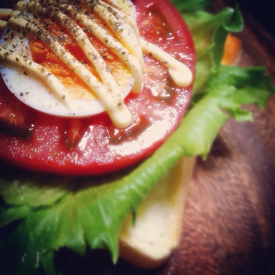 ELT open sandwich.|nori.co.jpさん