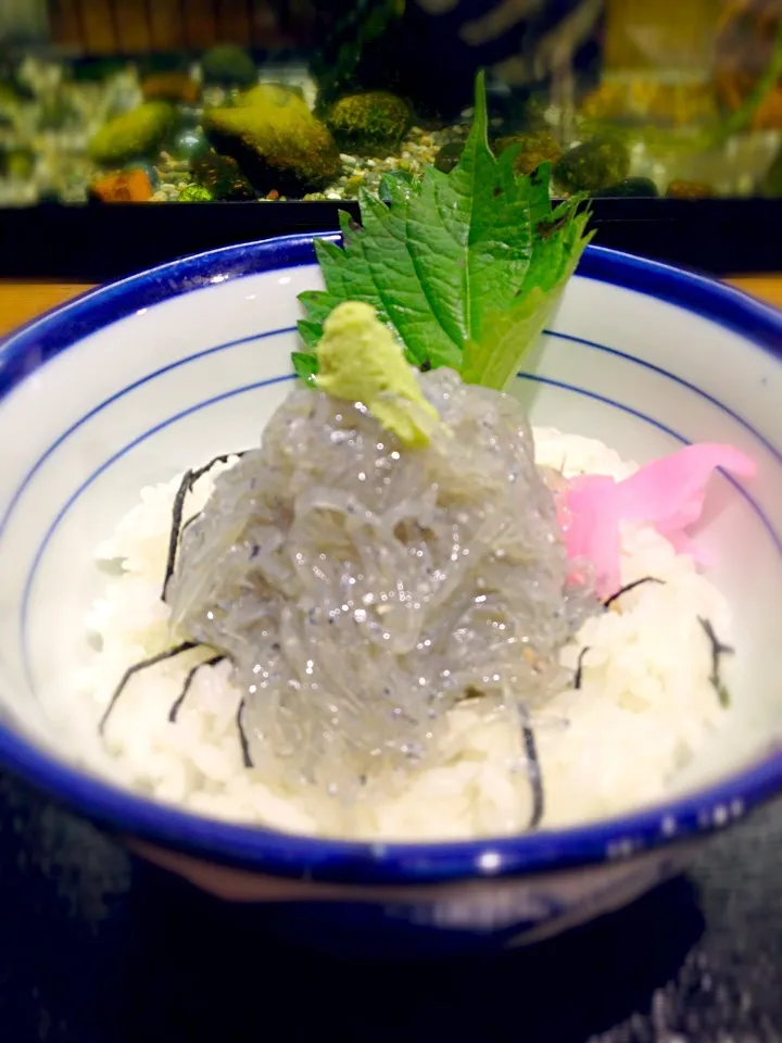 しらす丼|まよまよさん