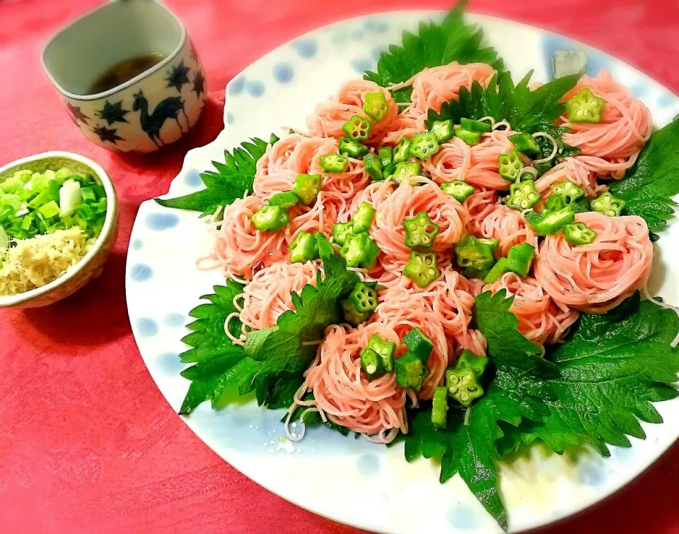 熊本 吉川農園の梅そうめん|ふぃるまめんとさん