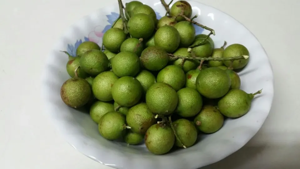 Quenepa also known as Spanish lime their sweet and good for you freshly pick in Puerto Rico|Frank Ortizさん