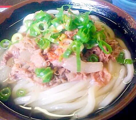 Snapdishの料理写真:肉うどん|Food is lifeさん