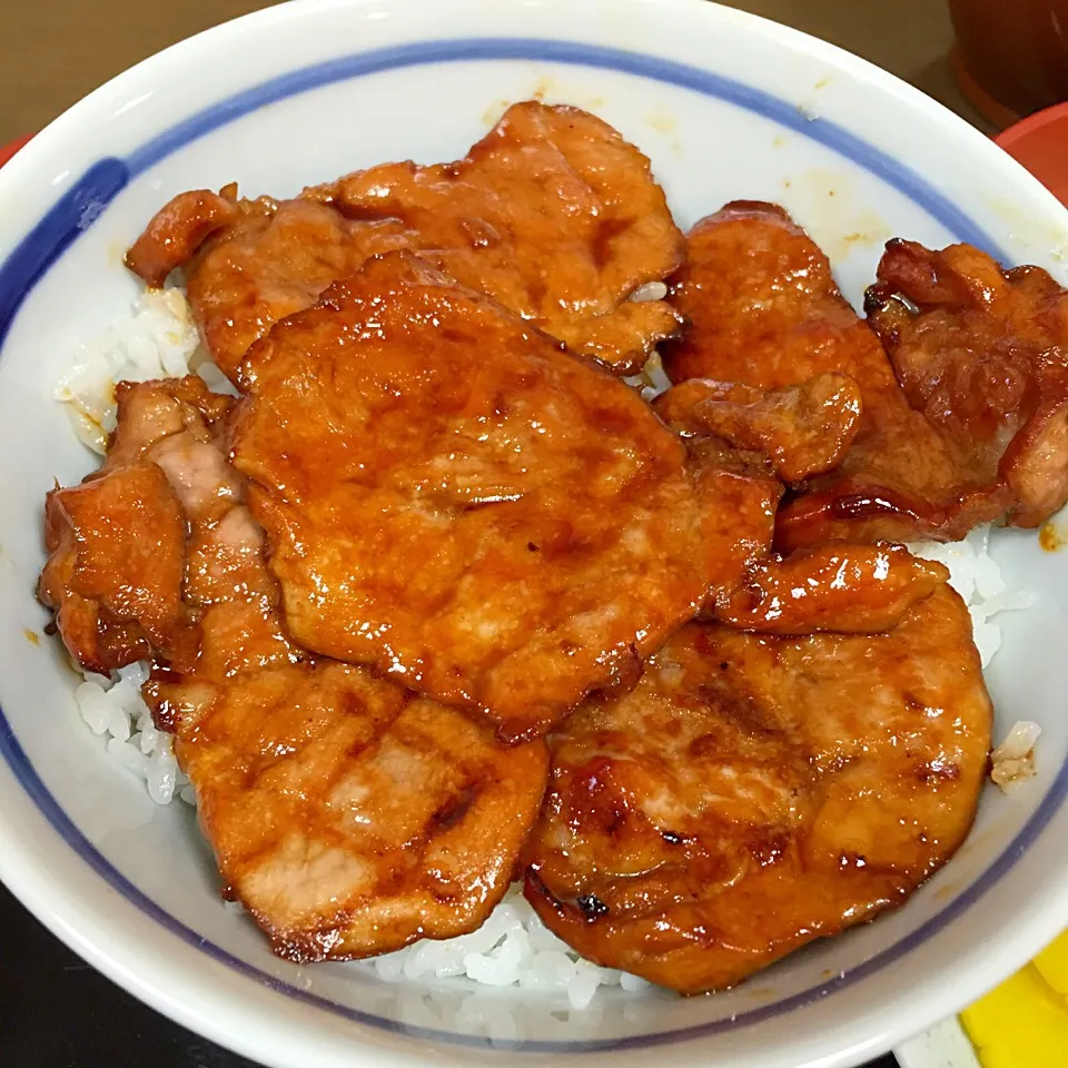 ぶた丼の とん田 ヒレぶた丼|カウンター嬢さん