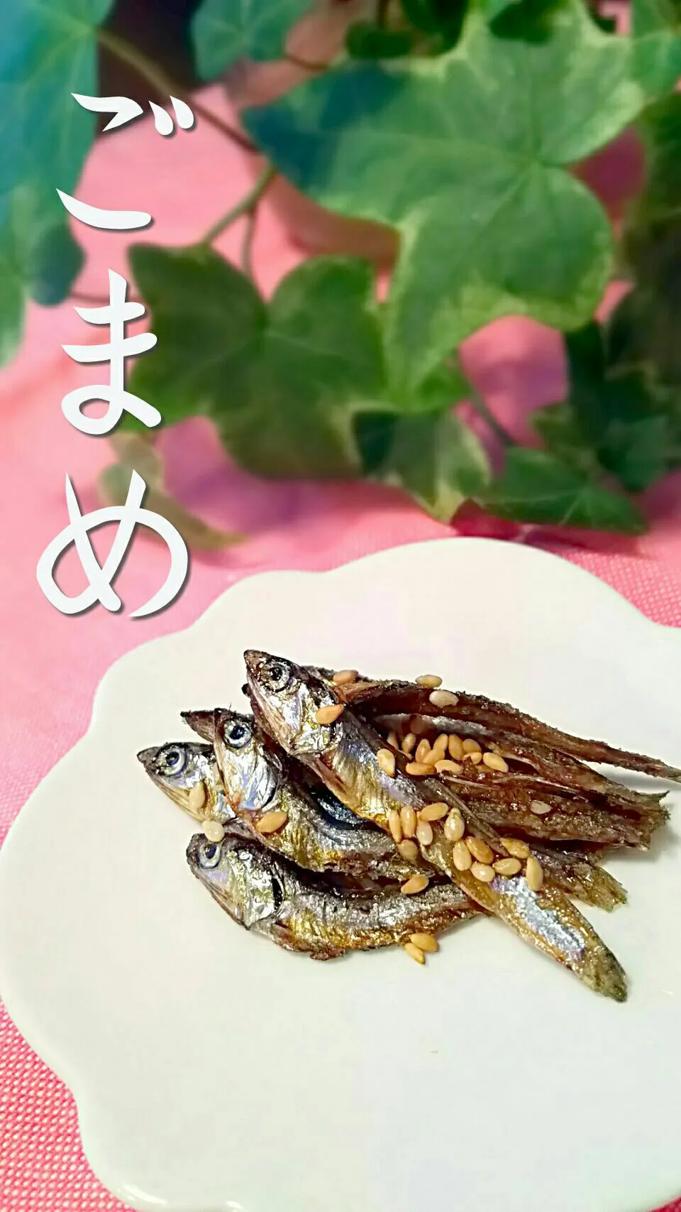 dried young anchovies!!|和田 匠生さん