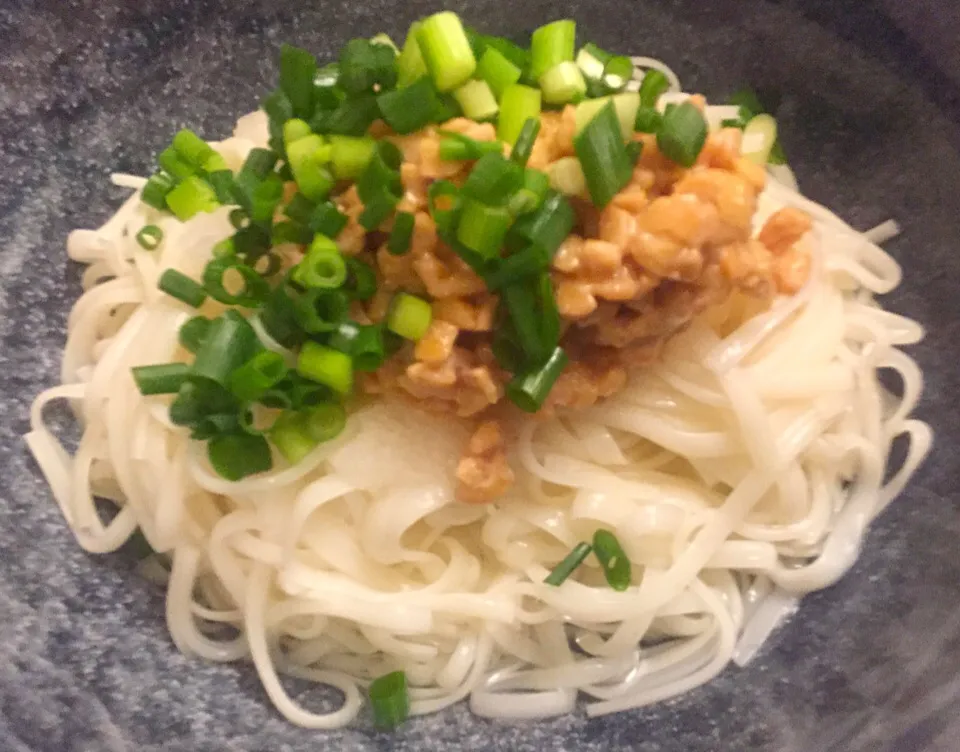 紀文の『おから麺』で大根おろし納豆ぶっかけうどん風でカロリー制限してみましたわ🍜|にゃあ（芸名）さん