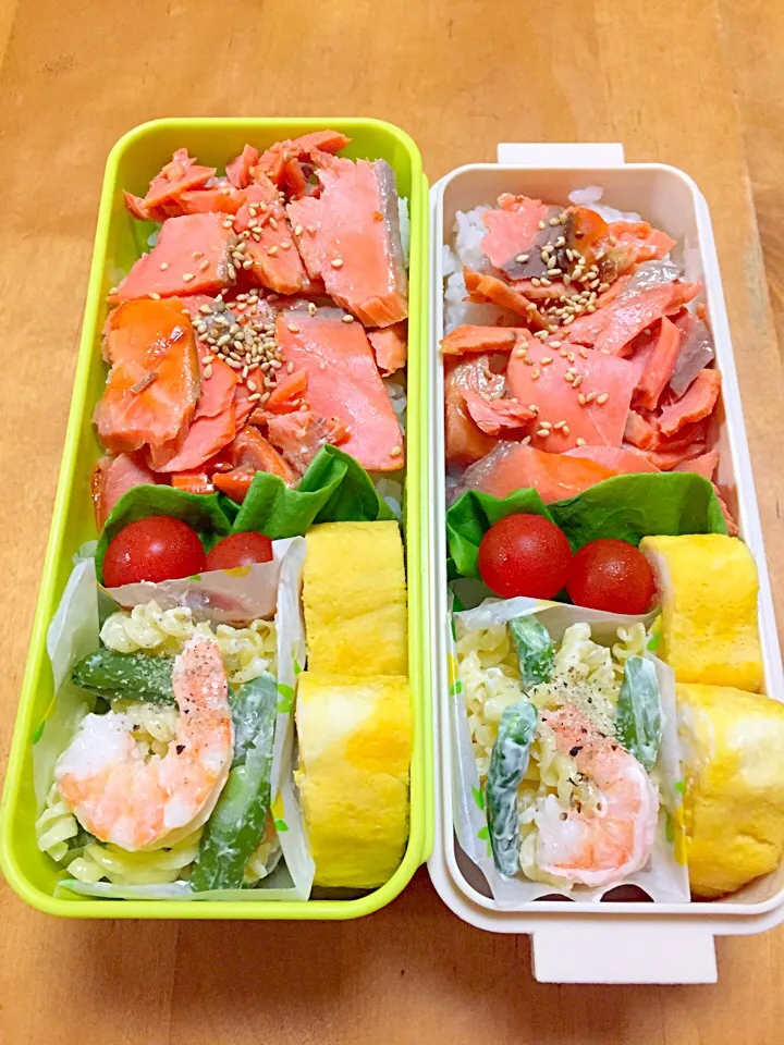 鮭ごはん弁当(*^^*)|sachiさん